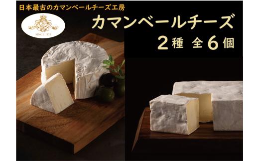 【クレイル特製】カマンベールチーズ 2種 贅沢セット