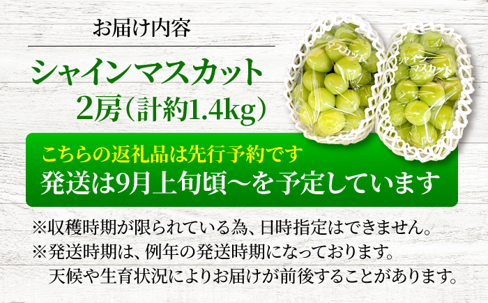 【先行予約】【9月上旬から9月下旬に順次発送】シャインマスカット 2房（約1.4kg） 種なし フルーツギフト ギフト 高級 果物 三次市/黒瀬ぶどう園 [APAB002]