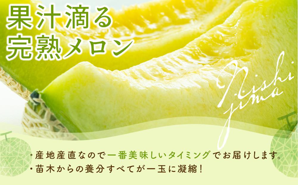 【先行予約】高知県南国市産／メロンといちごセット（2025年2月～発送）