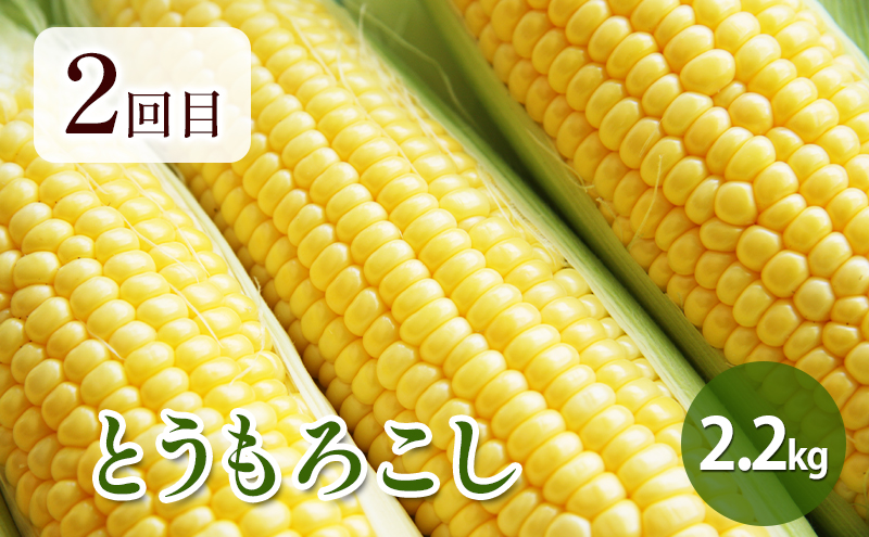 【2025年春～秋発送】北海道 定期便 4ヵ月 連続 全4回 ふらの産野菜セット富良野市 野菜 新鮮 直送 アスパラ とうもろこし ミニトマト ほれまる さくら じゃがいも 男爵 道産 ふらの 送料無
