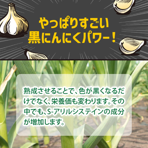 【定期便 6ヶ月】【訳あり】 青森 県 産 熟成 黒にんにく バラ 500g 五所川原市 【グリーンハンズ】