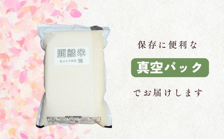 令和7年産 こしひかり 精米 5kg【無洗米真空パック】こしひかり 7-50