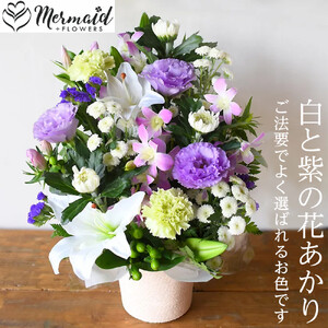 フラワーアレンジメント 花あかり　白ムラサキ【 花 花束 フラワーアレンジメント 】