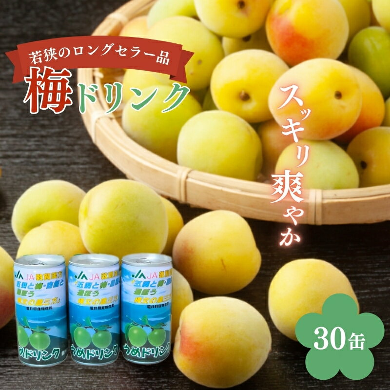 【ふるさと納税】ジュース 梅ドリンク 30缶 1ケース 若狭のロングセラー品 福井県産 丸ごと搾り 果汁10% 加工食品 うめ ウメ 福井県若狭町