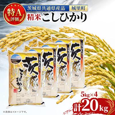 ふるさと納税 水戸市 【令和8年産】茨城県産コシヒカリ(精米)　20kg(5kg×4) (茨城県共通返礼品/城里町)