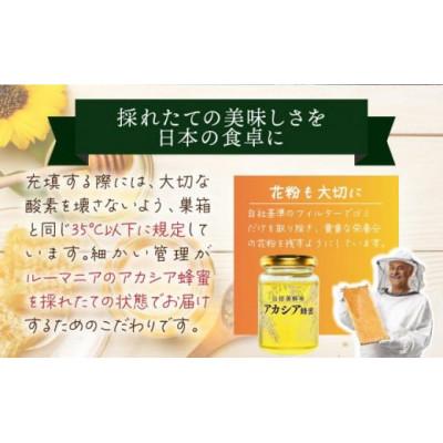 ふるさと納税 鏡野町 山田養蜂場ルーマニア産アカシア蜂蜜200g(ビン入り)×3個(64301) |  | 02