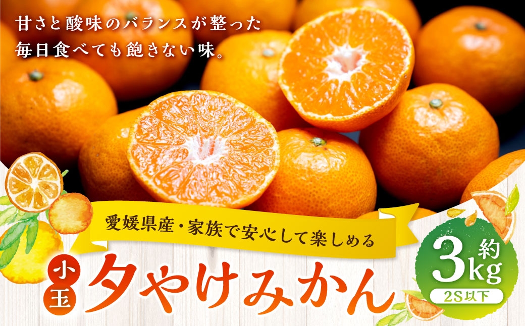 
                  【 家族でたっぷり楽しめる、愛媛の小粒みかん 】 夕やけみかん （ 小玉 ） 約3kg みかん ミカン 柑橘 柑橘系 柑橘類 くだもの 果物 フルーツ 果実 果汁 果肉 国産 愛媛県産 【 2026年10月下旬-2027年1月下旬発送予定 】 ( 1106 )
                