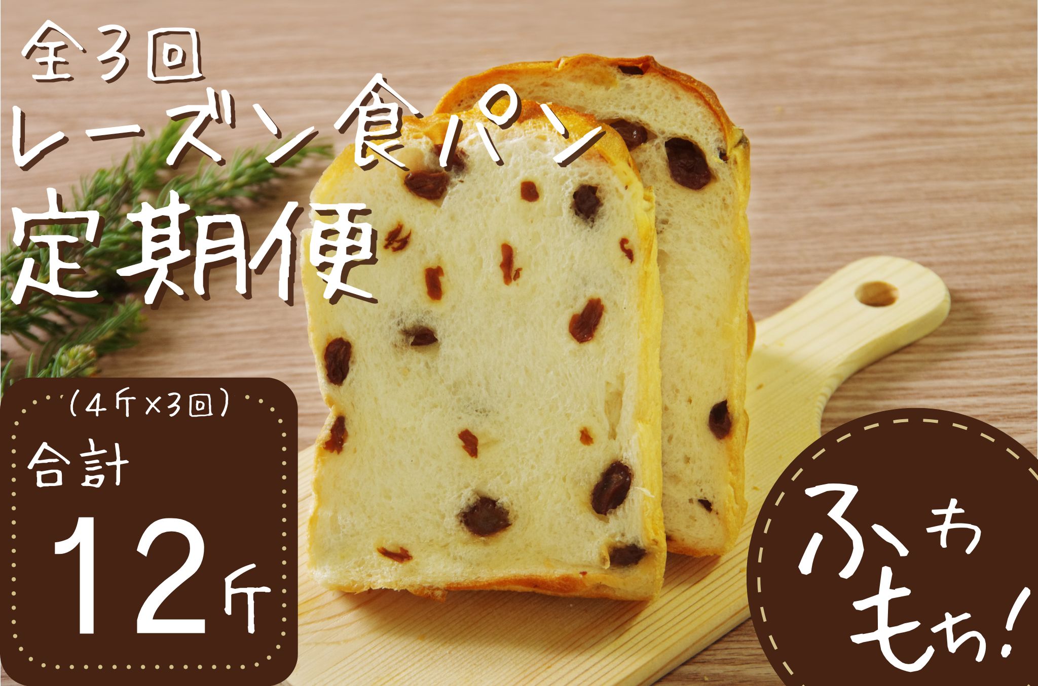 【室戸海洋深層水仕込み】レーズン食パン連続３回定期便  食パン ぱん 朝食 ギフト 定期便 人気 食事パン おやつ レーズン ぶどう ドライフルーツ４斤×３回