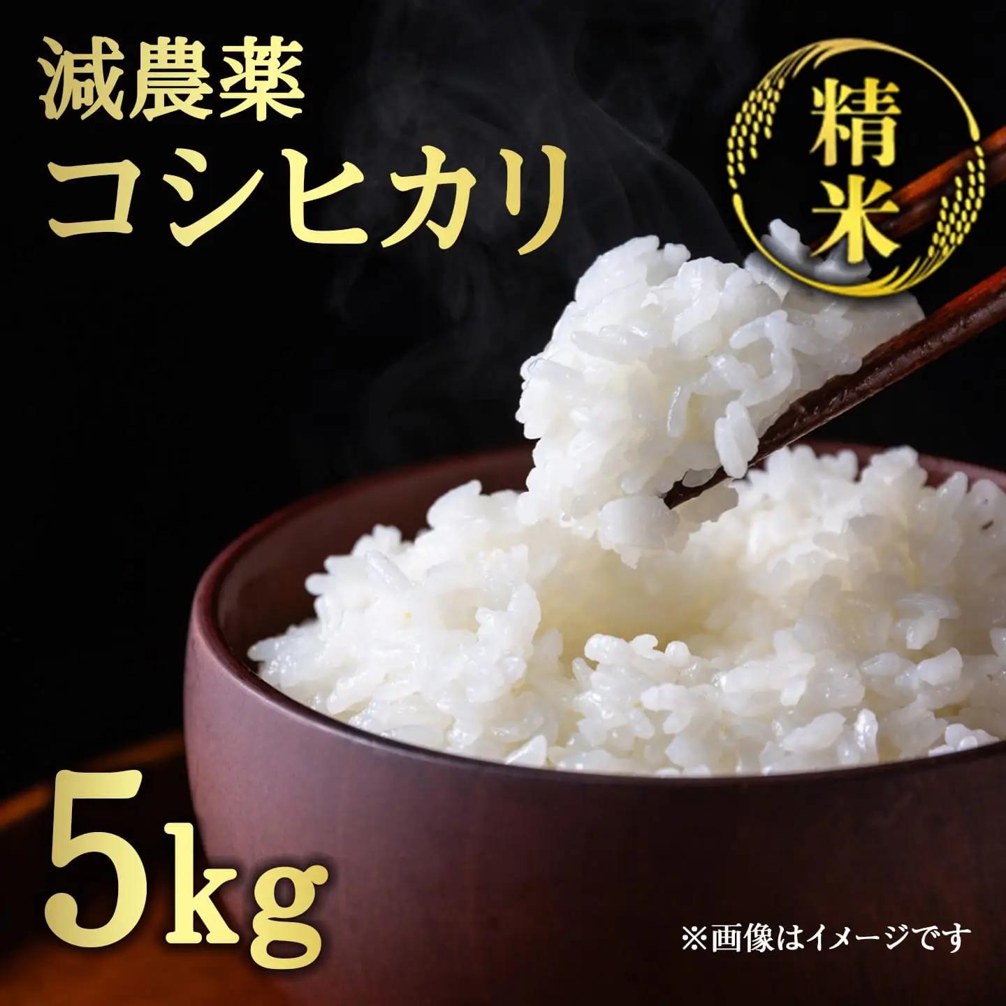【令和7年度産】 減農薬コシヒカリ 精米 5kg / 米 白米 減農薬 綾部市 / 森本ファーム［BSDH041］
