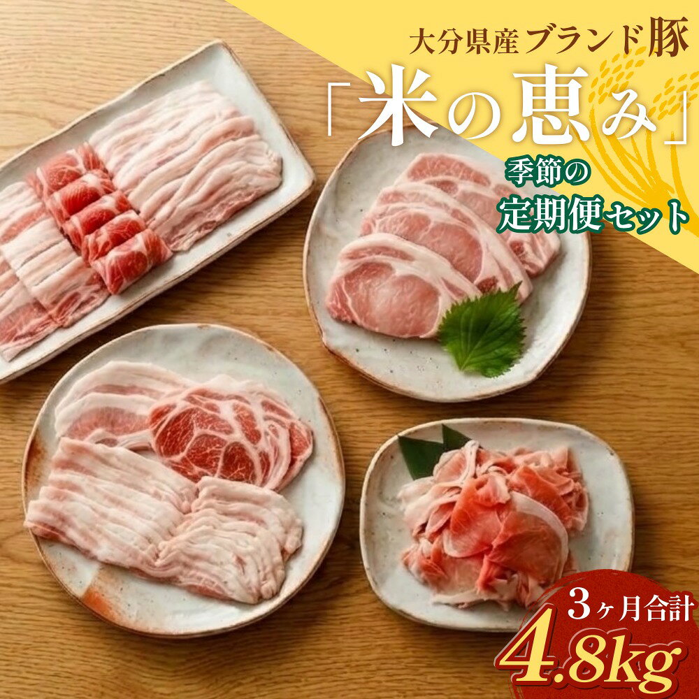 【ふるさと納税】【3回定期便】大分県産ブランド豚「米の恵み」季節の定期便セット