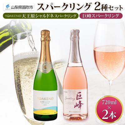 ふるさと納税 笛吹市 山梨県 スパークリング 2種飲み比べ(シャルドネスパークリング・巨峰スパークリング)各1本 笛吹市
