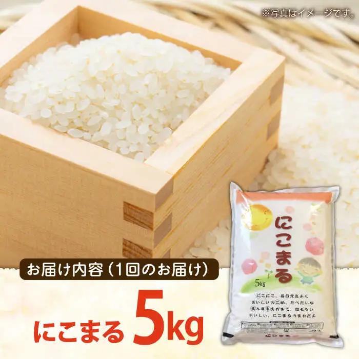 【6回定期便】にこまる 5kg 総計30kg 精米 [SDR003] 米
