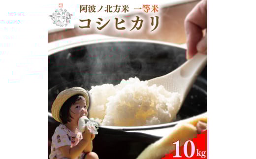 【 単品 10kg 】コシヒカリ 令和7年産 阿波ノ北方米 1等 米 こめ ご飯 ごはん おにぎり 精米 卵かけご飯 食品 備蓄 備蓄米 保存 防災 ギフト 贈答 プレゼント お取り寄せ グルメ 送料無料 徳島県 阿波市 阿波ノ北方農園