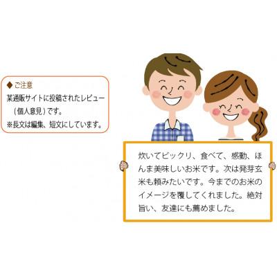 ふるさと納税 真庭市 【2026年 新米】寒冷地栽培 特別栽培米 いのちの壱 白米 10kg (5kg×2) 岡山の雪国産 |  | 01