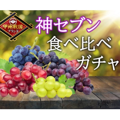 2027年発送先行受付【甲州戦国高級ブランド葡萄】圧倒的人気トップ7食べ比べセット約2kg9月中旬【配送不可地域：離島】