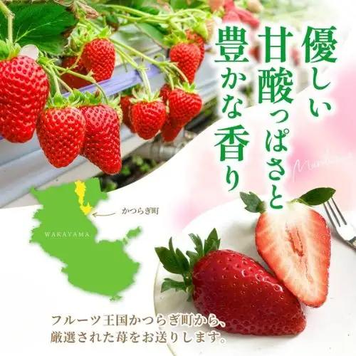 【先行予約】まりひめ いちご 12粒～15粒入り×4パック（1kg）2027年1月中旬?3月下旬頃に順次発送予定（お届け日指定不可）/ いちご 苺 まりひめ 和歌山 フルーツ 果物 くだもの【kgr0