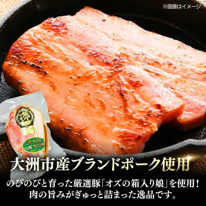 ベーコンブロック 180g×10個セット ベーコン[AGAZ013]