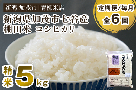 【令和8年産新米先行予約】【定期便6ヶ月毎月お届け】新潟産コシヒカリ 加茂市七谷産 棚田米 精米5kg 《9月下旬～順次出荷》 白米 真空パック 青柳米店