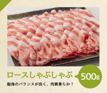 宮崎県産豚肉 バラエティ4種 2.5kg【毎日使える便利な豚肉セット しゃぶしゃぶ用 豚肉ロース 豚肉バラ 豚肉切り落とし 国産豚肉 宮崎県産豚肉 肉 豚肉】