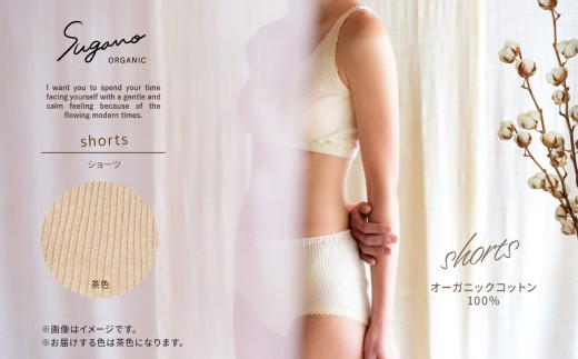 SuganoORGANICショーツ3点セット Sサイズ 茶 綿 SUAオーガニックコットン100％ | オーガニック コットン 下着 ショーツ マタニティ 茶 Sサイズ 農薬不使用 化学肥料不使用 締め付けない やわらかい 保湿性 保温性 フィット 国産 肌に優しい スガノ工房 肌着 奈良県 御杖村 みつえむら
