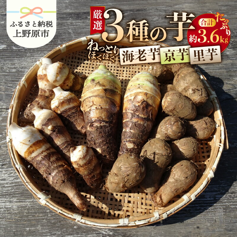 【ふるさと納税】 ◆先行予約◆ ＼山梨県産！数量限定／ 里芋 京芋 海老芋 ねっとり ほくほく 厳選 期間限定 野菜 化学肥料不使用 農薬不使用 農園直送 2025年度収穫 ギフト プレゼント お取り寄せ 贈り物 贈答 送料無料 上野原市