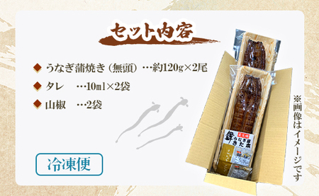 【2回定期便】うなぎ蒲焼き120g 2尾(無頭) 【 うなぎ 定期便 国産 うなぎ 定期便 かばやき うなぎ 定期便 】 Wun-0023