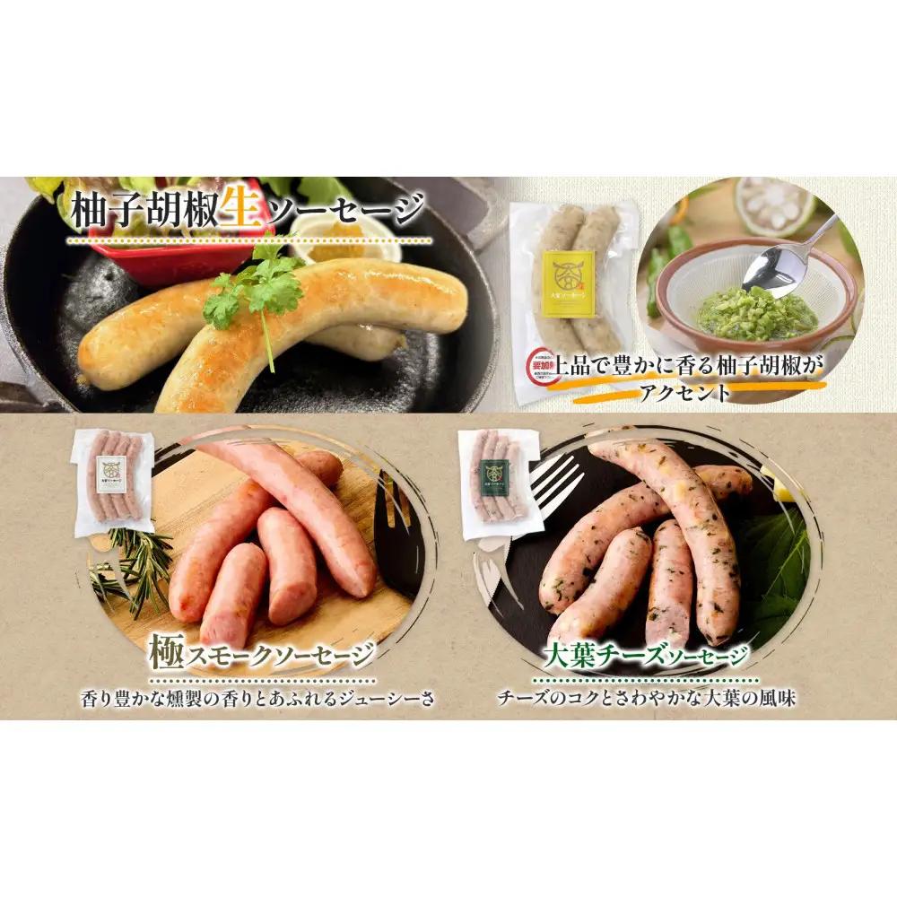 大宮ソーセージ ソーセージ 3種 味違い 詰め合わせ セット 【11100-2594】 豚肉 肉 加工品 生ソーセージ おかず 惣菜 おつまみ 冷凍 ギフト 小分け 贈り物 燻製 柚子胡椒 チーズ 粗
