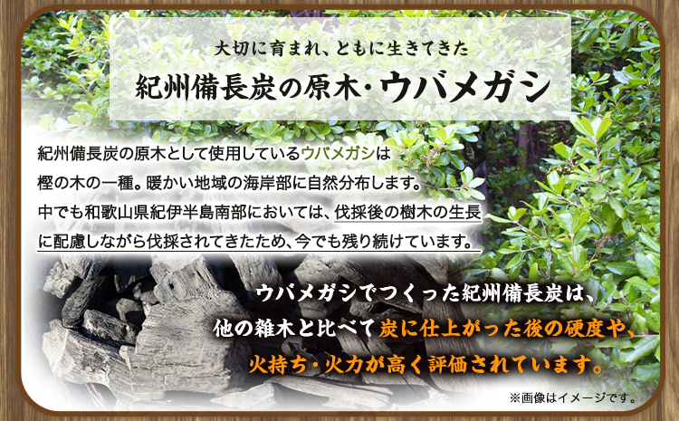 紀州備長炭 馬目荒 約5kg 株式会社紀 《30日以内に出荷予定(土日祝除く)》 和歌山県 日高川町 備長炭 炭 プロの 料理人 愛用