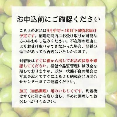 生いちじく 果物 北限のいちじく ホワイトゼノア 生いちじく【2kg】