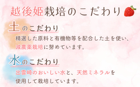 【いちごジャム】コンフィチュール ジャム （100g 3個） 越後姫 | ジャム 新潟県 出雲崎町