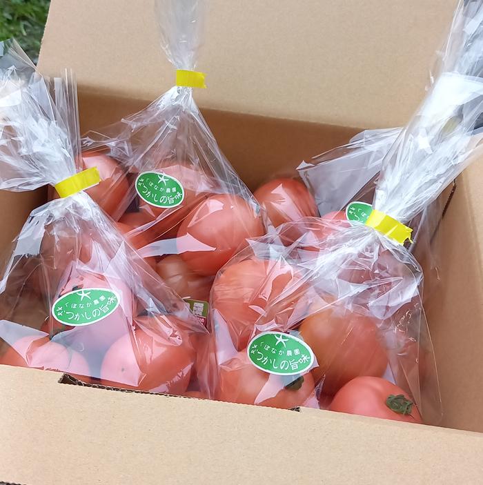 トマト 2kg 500g×4袋 麗月 くぼなか農園 | A66