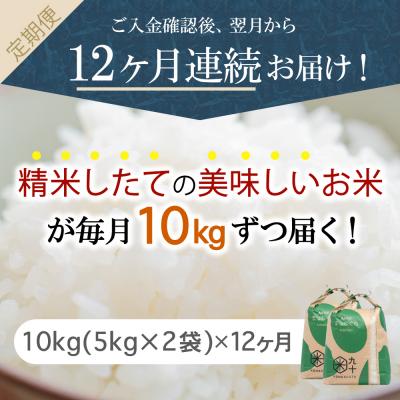 ふるさと納税 五所川原市 【定期便 12ヶ月】 米 10kg まっしぐら 青森県産 (精米) 定期便12回 10kg×12回 |  | 01