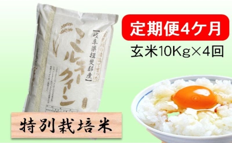 
                  特別栽培米★[定期便] 4カ月★毎月 玄米10kg【ミルキークイーン】 お米 ブランド米 銘柄米 ご飯 モチモチ 低アミロース米 冷めても美味しい [№5644-1692]
                
