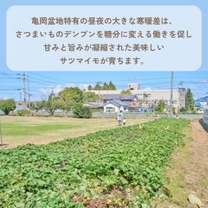 焼き芋がゴロゴロ入った アイス最中 10個セット 和スイーツ アイス アイスクリーム