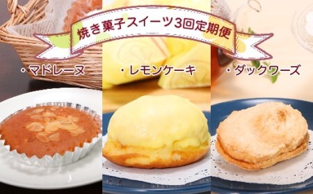 焼き菓子スイーツ3回定期便（マドレーヌ・レモンケーキ・ダックワーズ） 【J00004】
