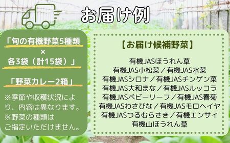 定期便 ３ヶ月 山口農園 有機野菜 おまかせセット＋カレー２箱 詰合せ 冷蔵 月１回 ／ふるさと納税 山口農園 有機野菜 伝統野菜 オーガニック ベジタリアン 定期便 カレー  野菜セット 農家直送 