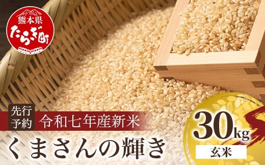 
            令和7年産新米【玄米 30kg】 くまさんの輝き 30kg (令和7年10月中旬より順次発送) 新米 熊本県 多良木町 お米 30 キロ 米 玄米 107-0703
          