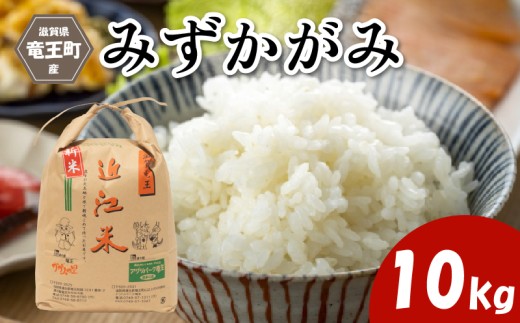 令和7年産米 みずかがみ 精米 10kg 玄米 も選べる 環境こだわり米 お米 おこめ ミズカガミ 水鏡 2025年産 米 化学肥料不使用 特別栽培米 甘み キラキラ つややか 炊飯器 国産 近江米 贈り物 ギフト プレゼント 農家応援 人気 農家直送 産地直送 滋賀県 竜王町 ふるさと納税