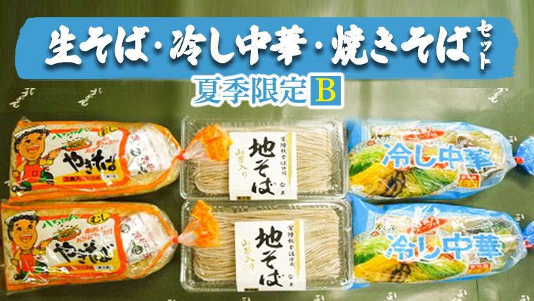 
生そば ・ 冷し中華 ・ 焼きそば セット 【 夏季限定 B】 生麺 生 そば 蕎麦 冷やし中華 食べ比べ 麺 詰合せ [AG017ya]
