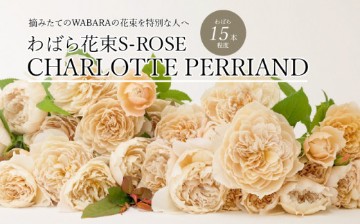 わばら花束S-ROSE CHARLOTTE PERRIAND  WABARA  摘みたて ブーケ 花束 Rose Universe AT-0027