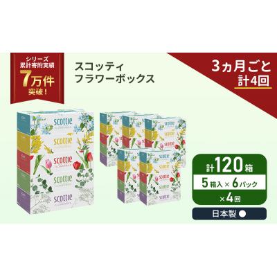 ふるさと納税 岩沼市 定期便 ティッシュ スコッティ 120箱 (5箱×6P)《計4 回》[No.5704-1137] |  | 01