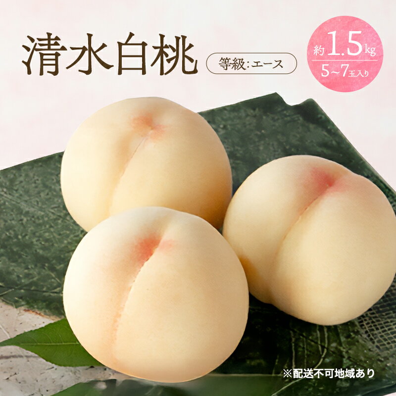 【ふるさと納税】桃 2026年 先行予約 清水 白桃 等級 エース 約1.5kg 5〜7玉入りもも モモ 岡山 国産 フルーツ 果物 桃茂実苑　お届け：2026年7月中旬〜2026年8月上旬
