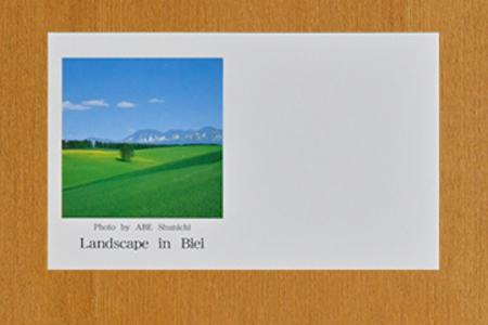 [005-26]写真家　阿部俊一　名刺台紙・メッセージカード100枚(D)