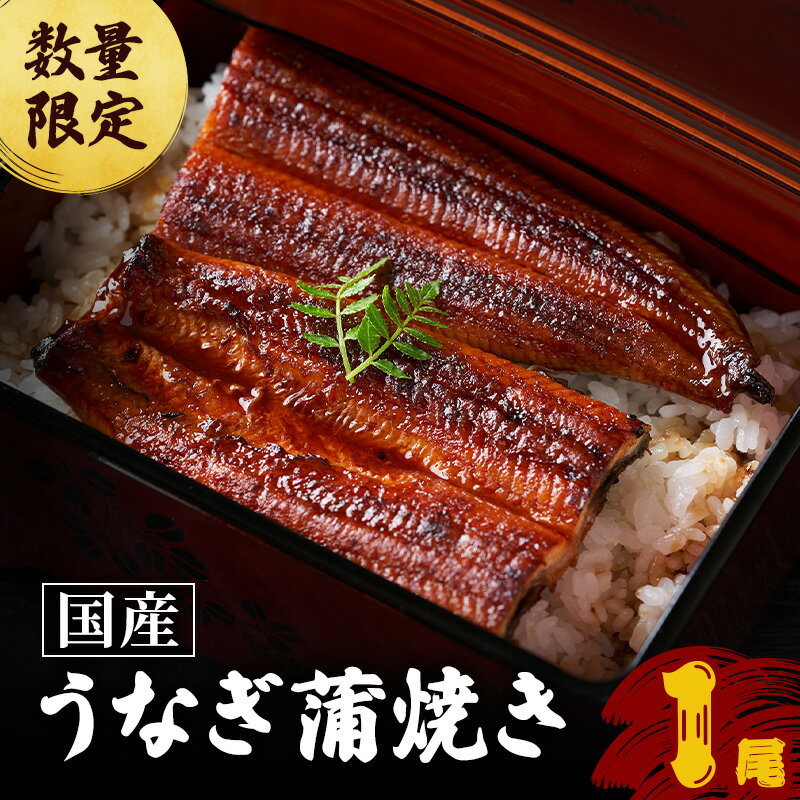 【ふるさと納税】鰻 数量限定 国産 うなぎ蒲焼 1尾 国産鰻 蒲焼 うなぎの蒲焼き 惣菜 おかず 魚介 冷凍　うなぎ 国産うなぎ 蒲焼き うなぎ ウナギ うなぎの蒲焼き ウナギの蒲焼 国産うなぎ蒲焼 国産鰻の蒲焼 魚 お魚 魚介類 職人 手焼き ギフト 贈り物 プレゼント