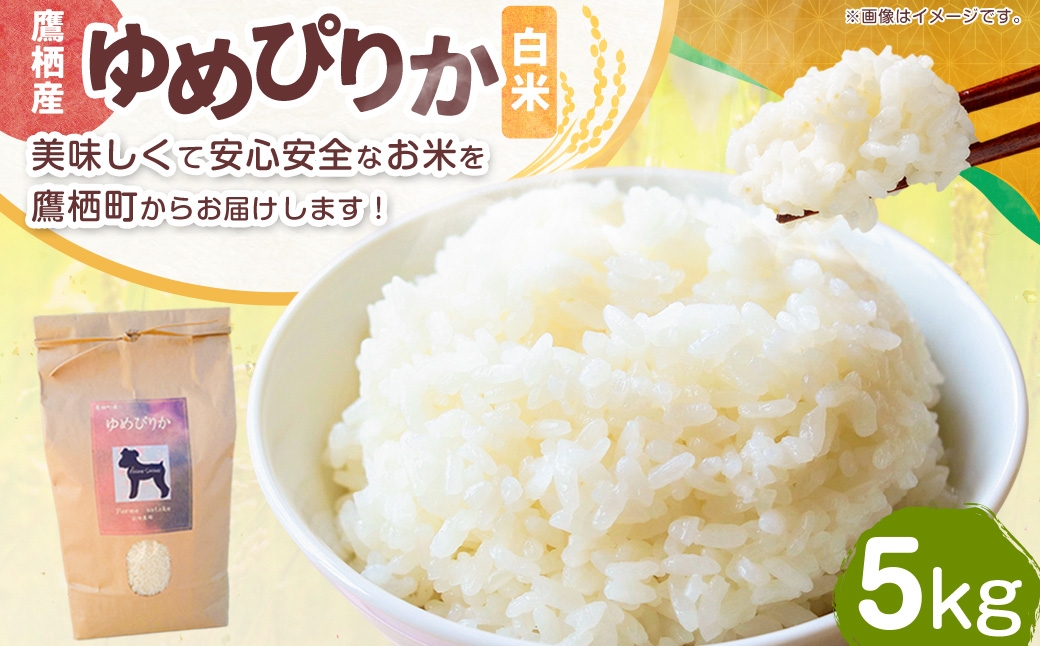 
                  【令和8年産】ゆめぴりか （ 精米 ）（ 白米 ） 5kg 北海道 鷹栖町 ferme satake 【2026年9月下旬より順次発送開始予定】 米 コメ こめ ご飯 白米 お米 ゆめぴりか コメ 白米
                