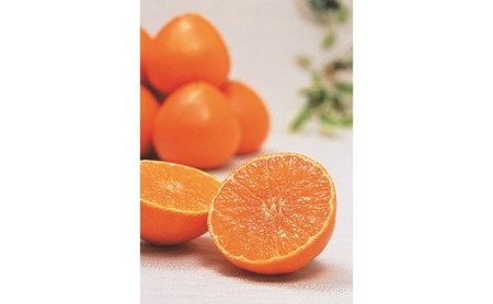 家庭用 紅まどんな 5kg 柑橘 愛媛 みかん 紅まどんな 国産 紅まどんな 果物 傷あり 紅まどんな 旬 お届け 12月 上旬 から 下旬 ブランド オレンジ 減農薬 有機 ビタミン 美味しい 有名