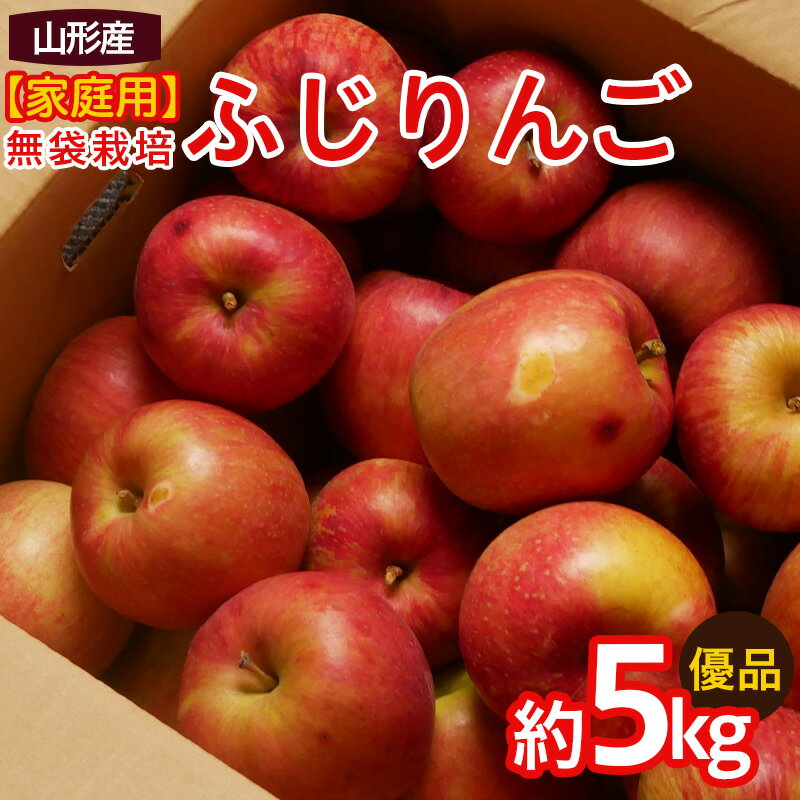 【ふるさと納税】【家庭用】ふじりんご 優品 約5kg入り【令和8年産先行予約】FS25-760