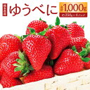 【ふるさと納税】ゆうべに 250g × 2パック × 2箱 4パック 合計1000g 1kg いちご 熊本県産 オリジナルいちご 苺 イチゴ 冷蔵 九州 熊本県 送料無料 【2025年2月上旬発送開始】