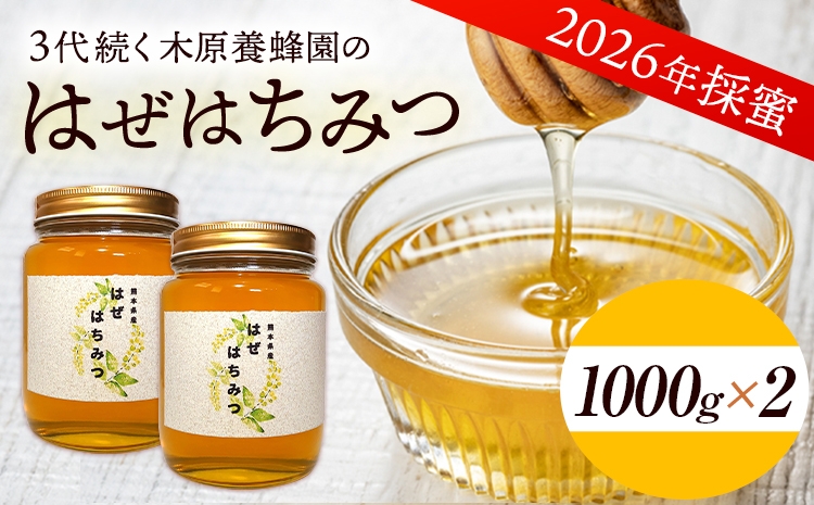 
                  はぜはちみつ 2000g 1000g×2本 2026年採蜜 木原養蜂園《30日以内に出荷予定(土日祝除く)》熊本県 荒尾市 はちみつ 蜂蜜 熊本県荒尾市産 純粋蜂蜜 国産 はぜ
                