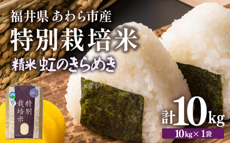 【令和7年産】化学肥料不使用 特別栽培米 虹のきらめき 精米 10kg × 1袋 / 白米 米 福井県あわら市産 美味しい 特別栽培米 減農薬 安心な米 旨味 甘み もっちり 冷蔵保管米 [aw010-b020]